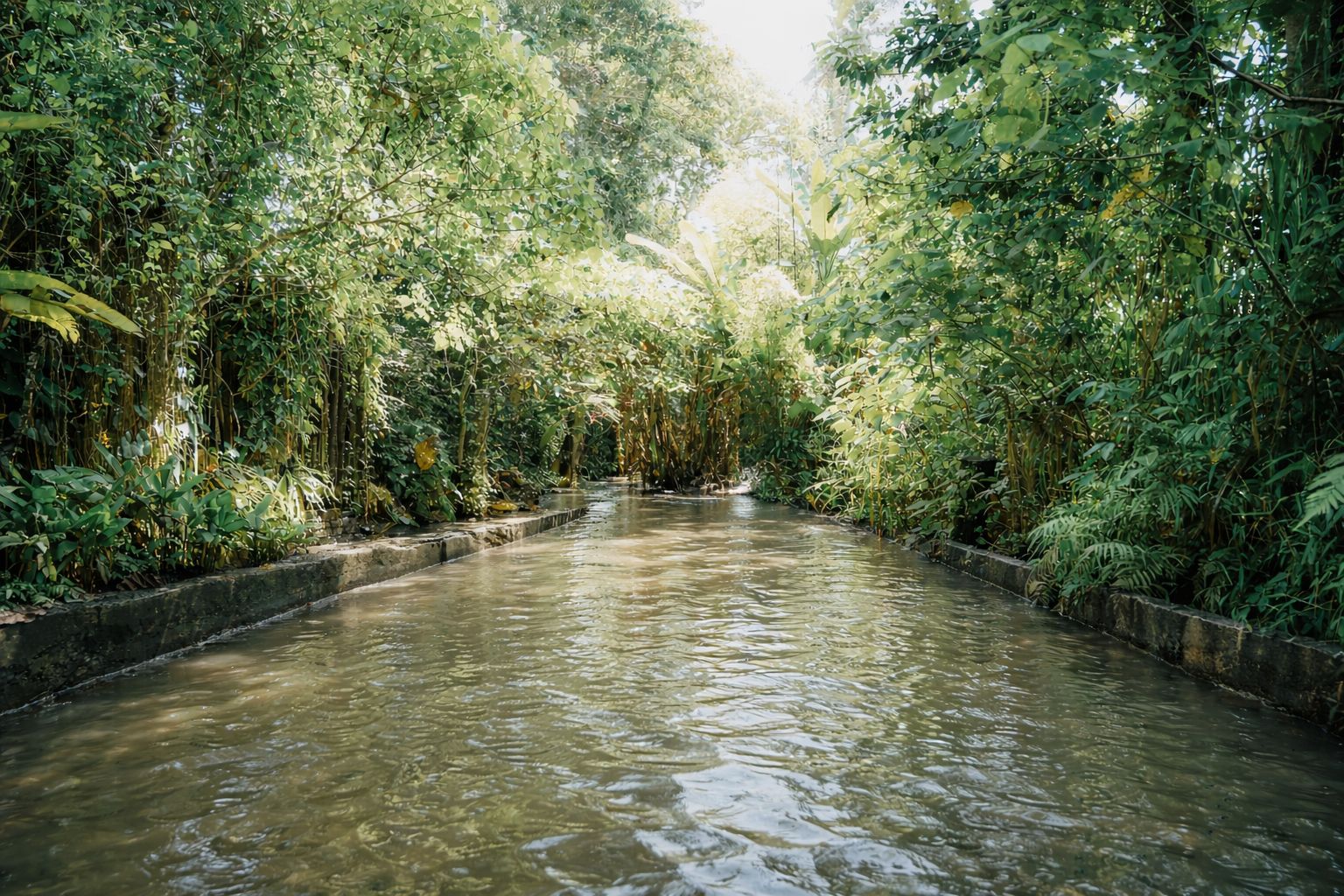 Jumping & Fun Section Track